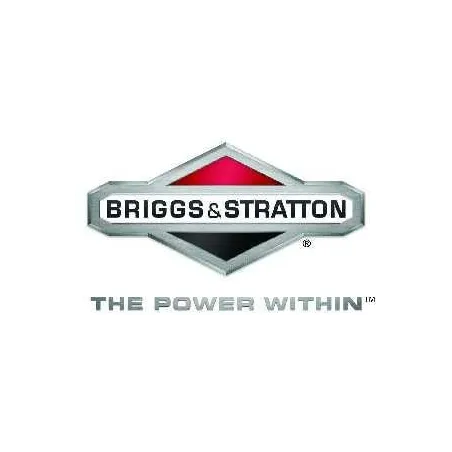 Briggs & Stratton 22 HP Intek I / C V Twin Traktor Motor