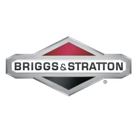 Briggs & Stratton Karburátor 391065